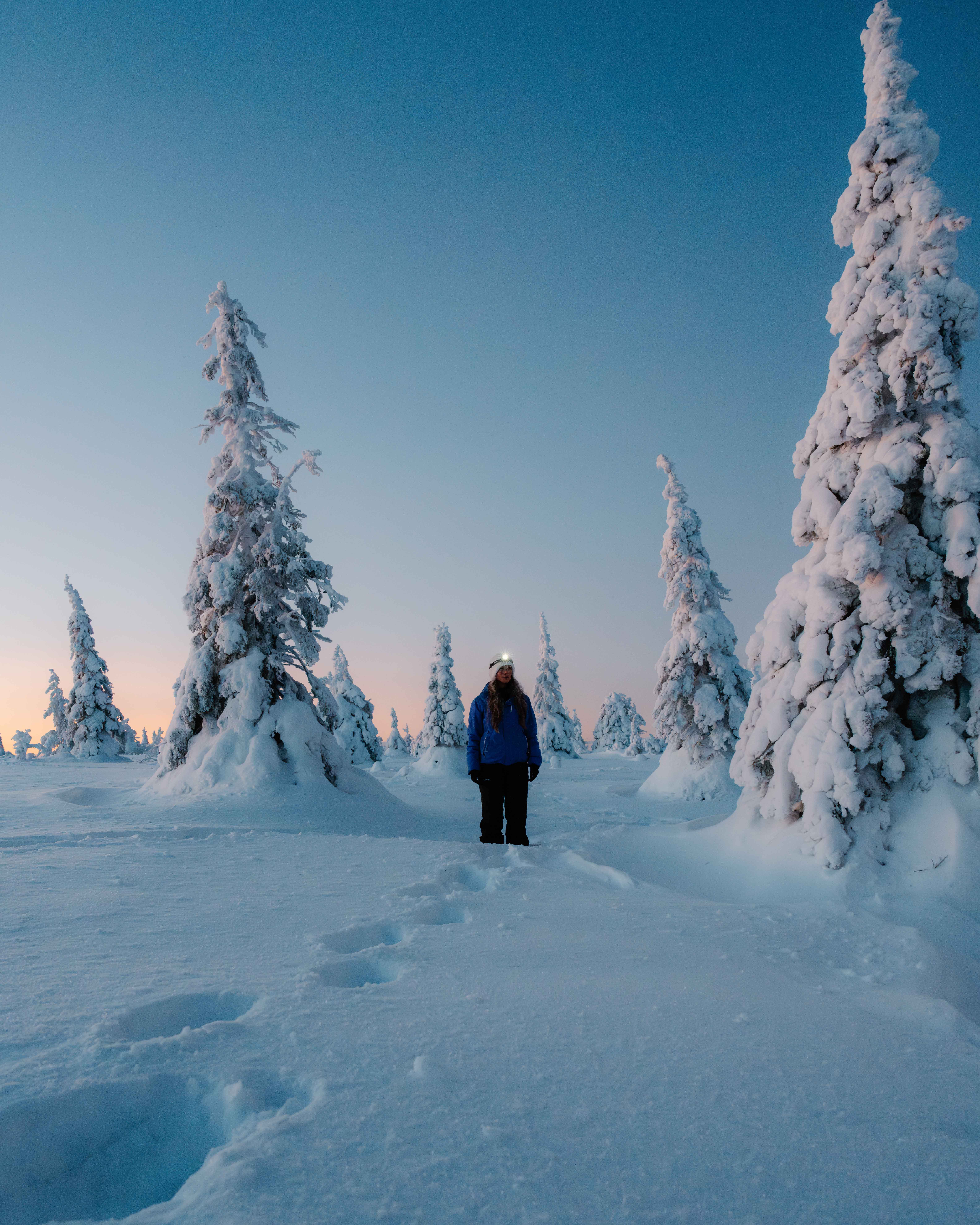 A figure standing in a snowy forest